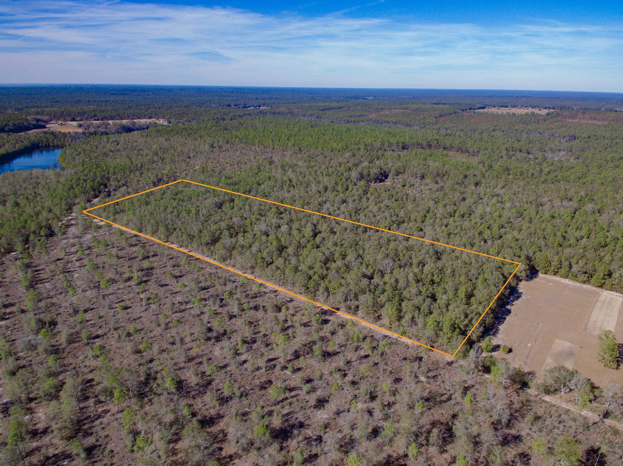 Holt, FL 32564,14.4 acres Poplar Head Church Road