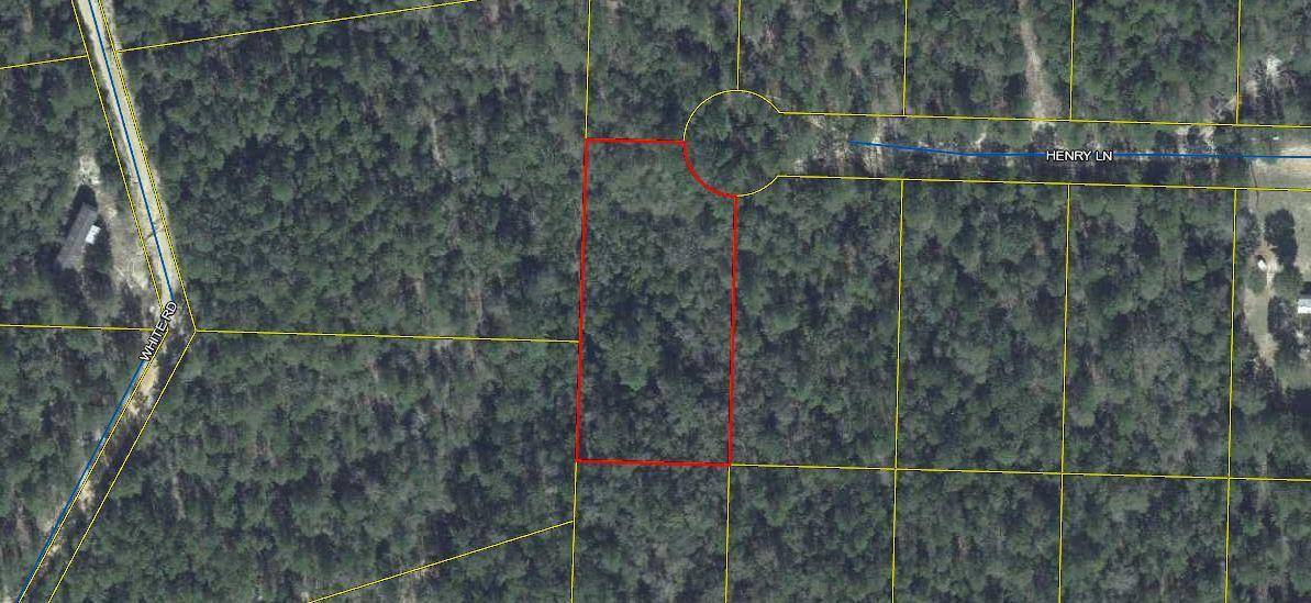 Defuniak Springs, FL 32433,Lot 1 Henry Lane