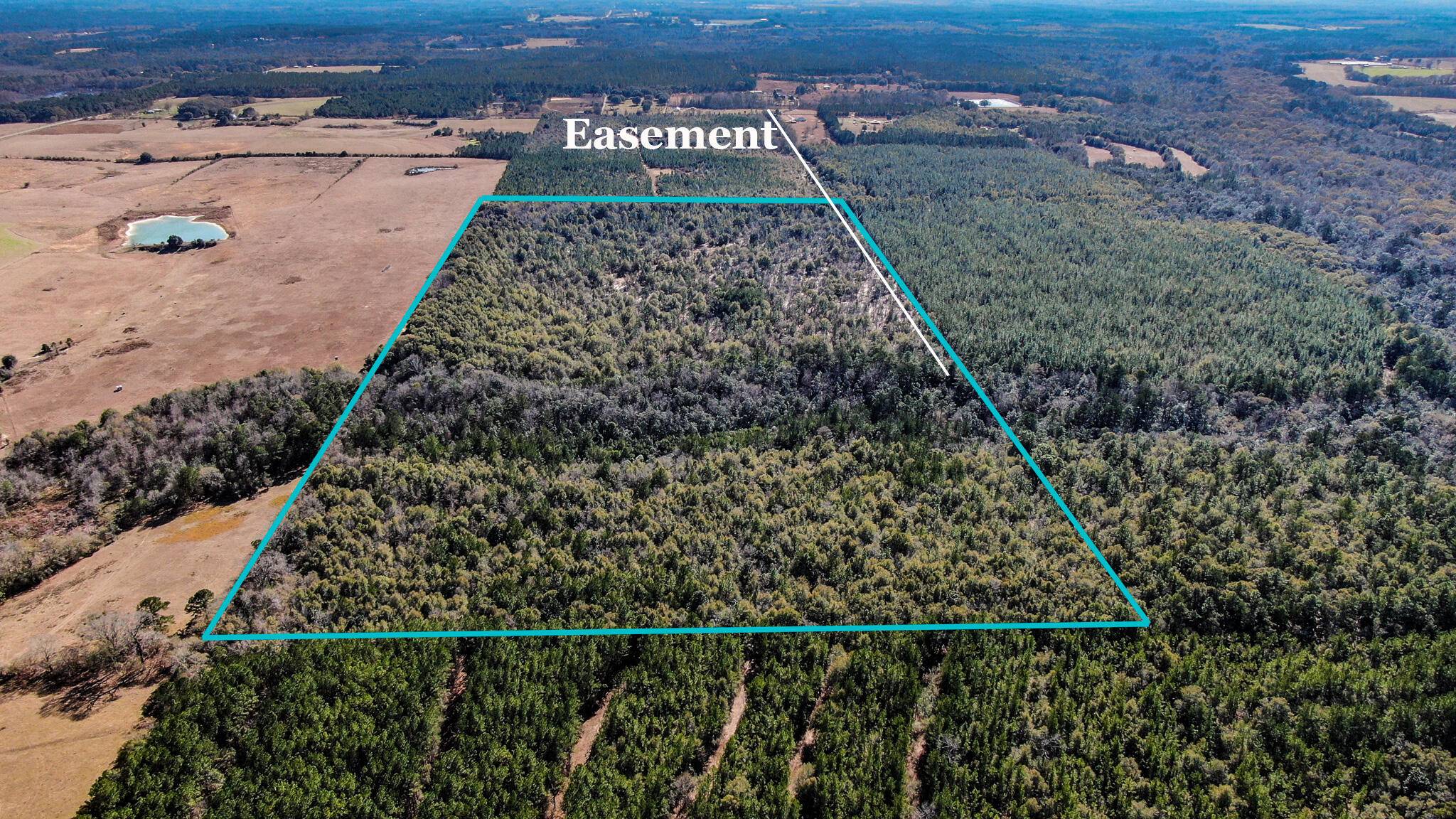 Laurel Hill, FL 32567,80 Acres Hub Presley Road