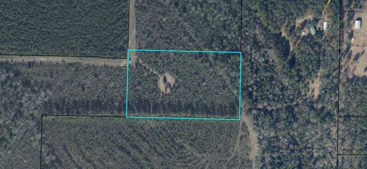 Westville, FL 32464,7.6 acres Myrtle Rd