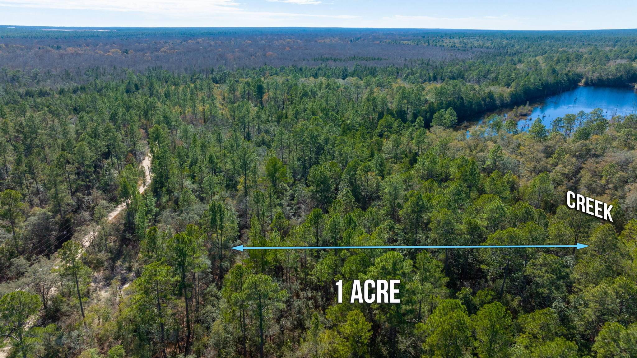 Holt, FL 32564,1 ACRE Leisure Lane