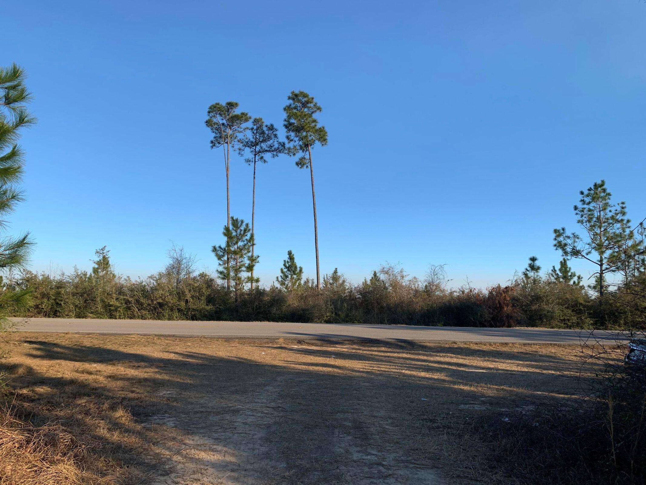 Milton, FL 32570,A-5 Silas Road