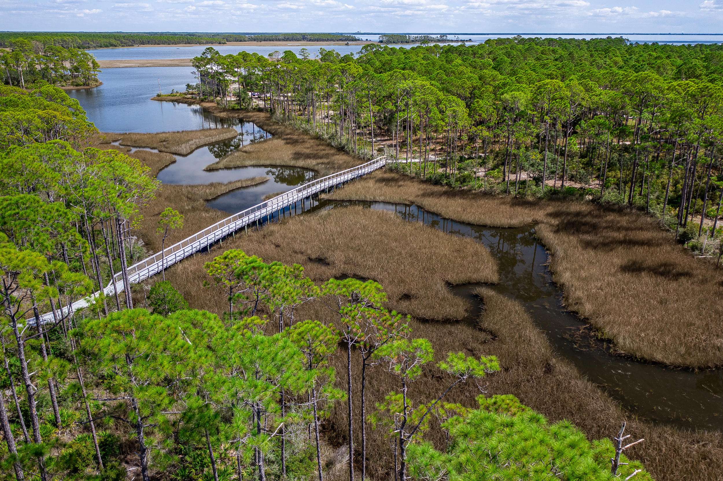 Panama City Beach, FL 32413,6400 E Sundew Marsh Trail  #Lot 75