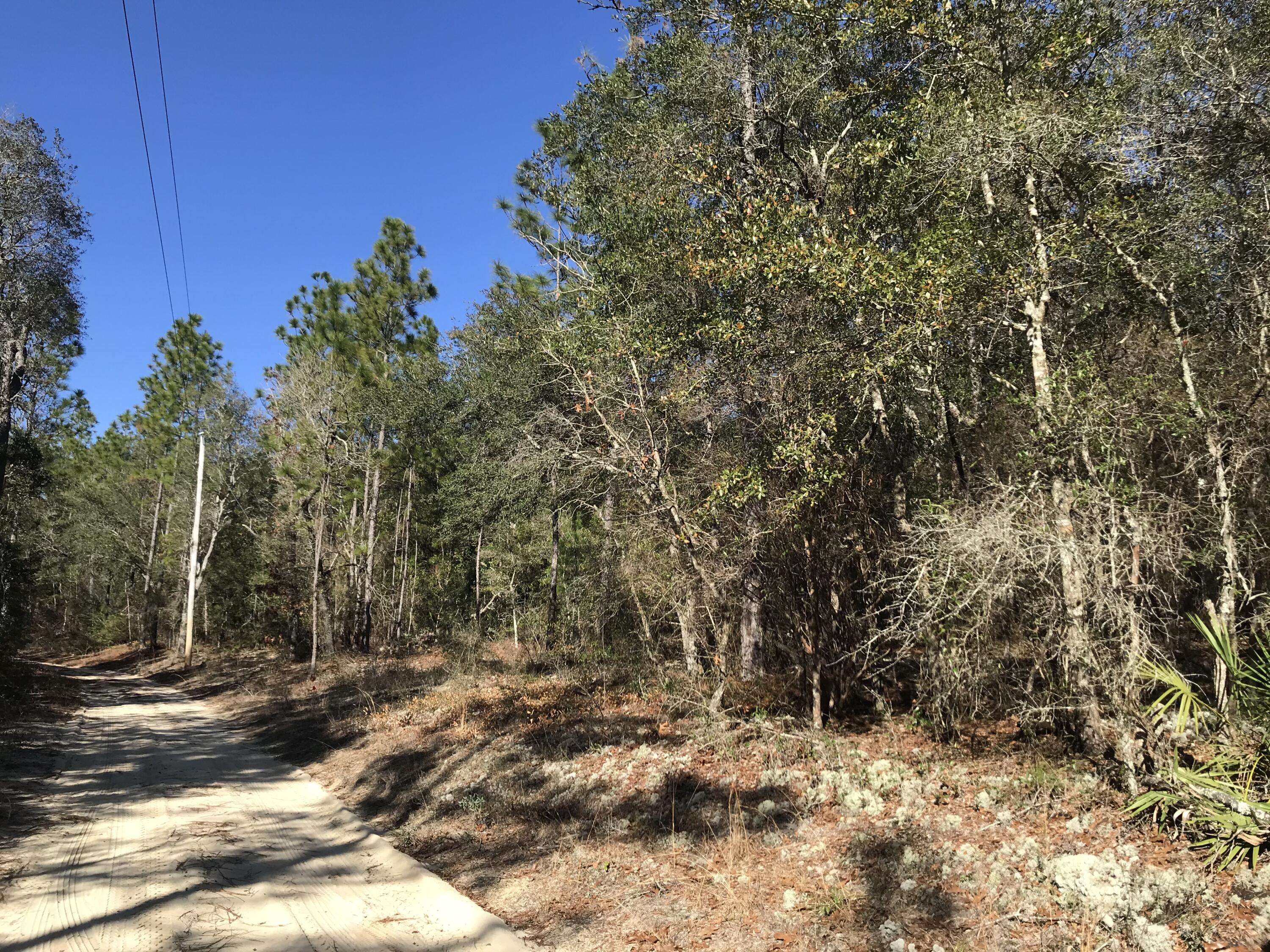 Holt, FL 32564,40 +/- AC Boundry Lane