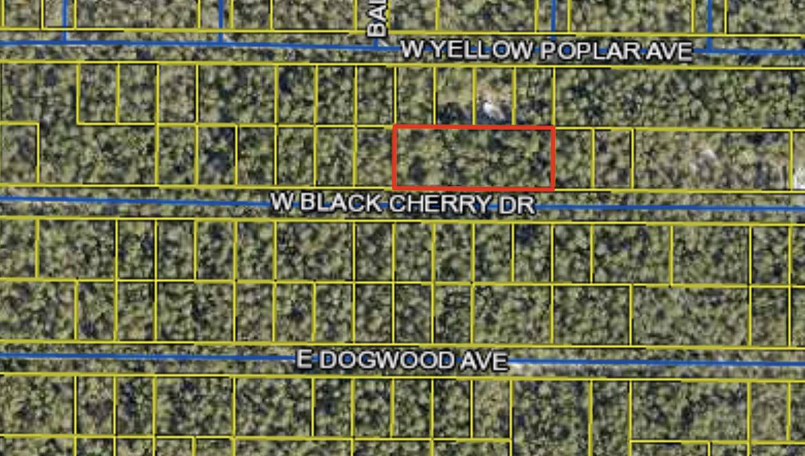 Defuniak Springs, FL 32433,LOT 43 W Black Cherry Drive