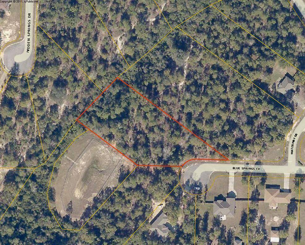 Baker, FL 32531,1.44 Acres Blue Springs