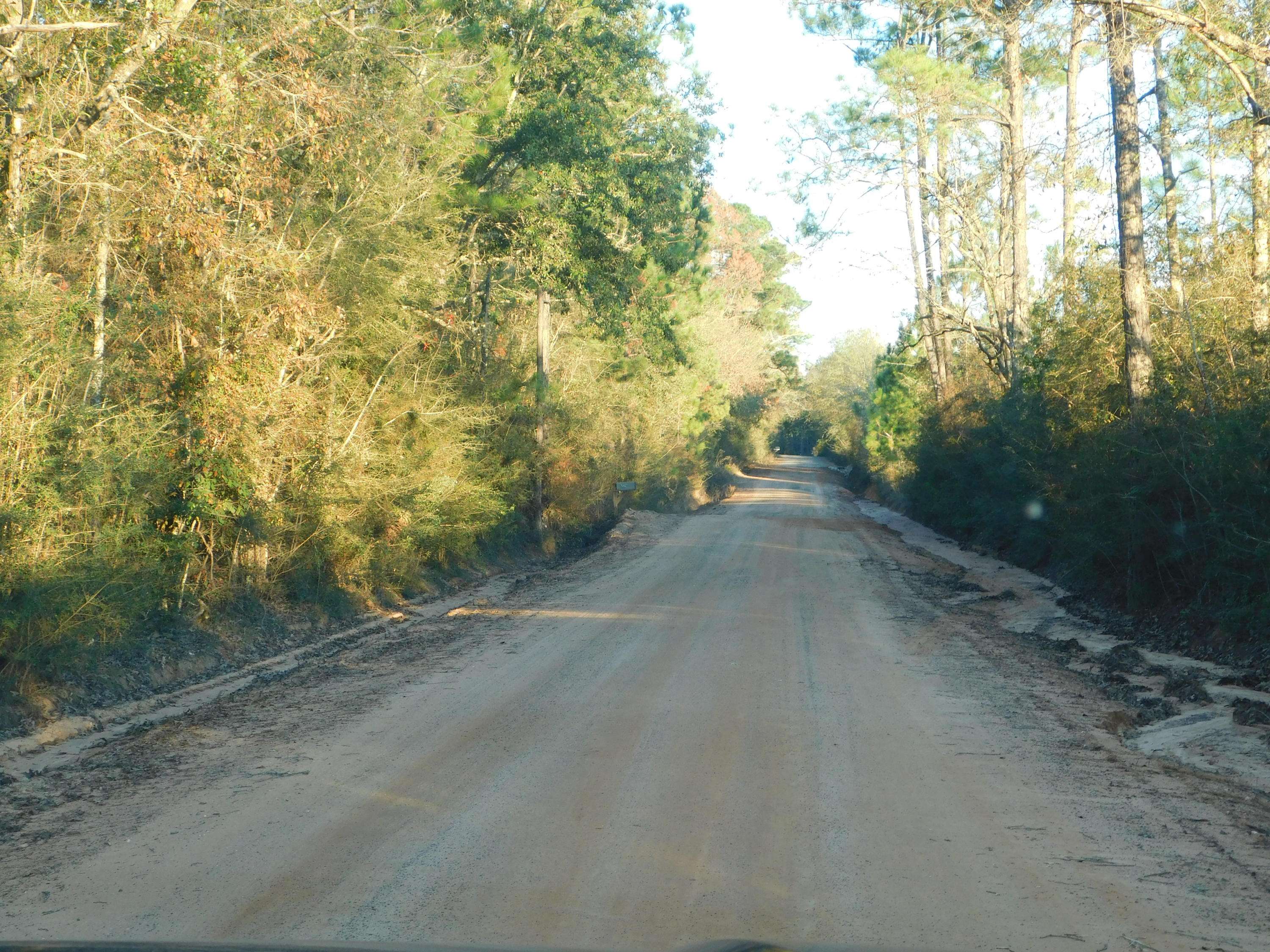 Baker, FL 32531,40+/- AC Sherman Kennedy Road