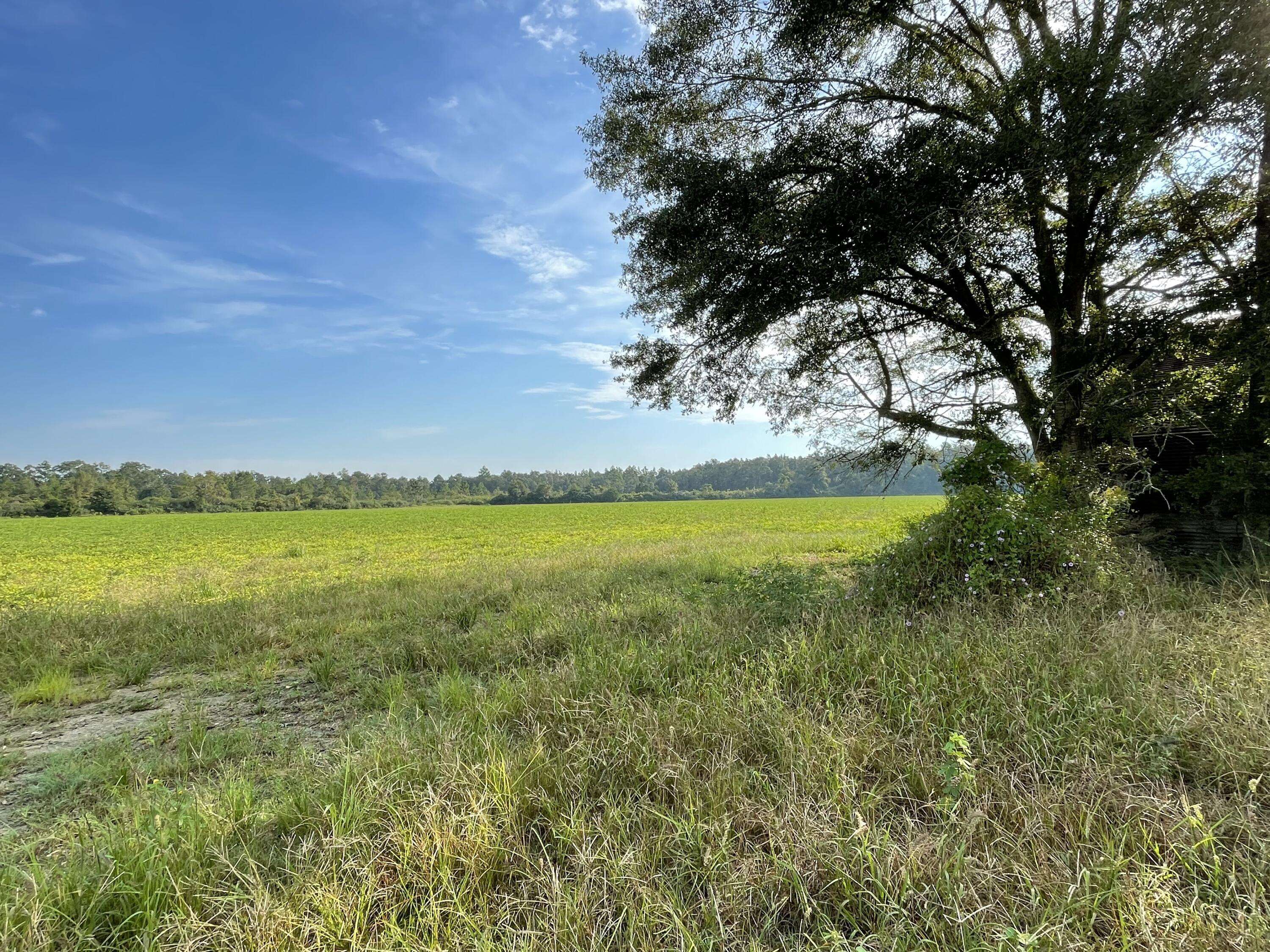 Baker, FL 32531,10+/- AC Hwy 4