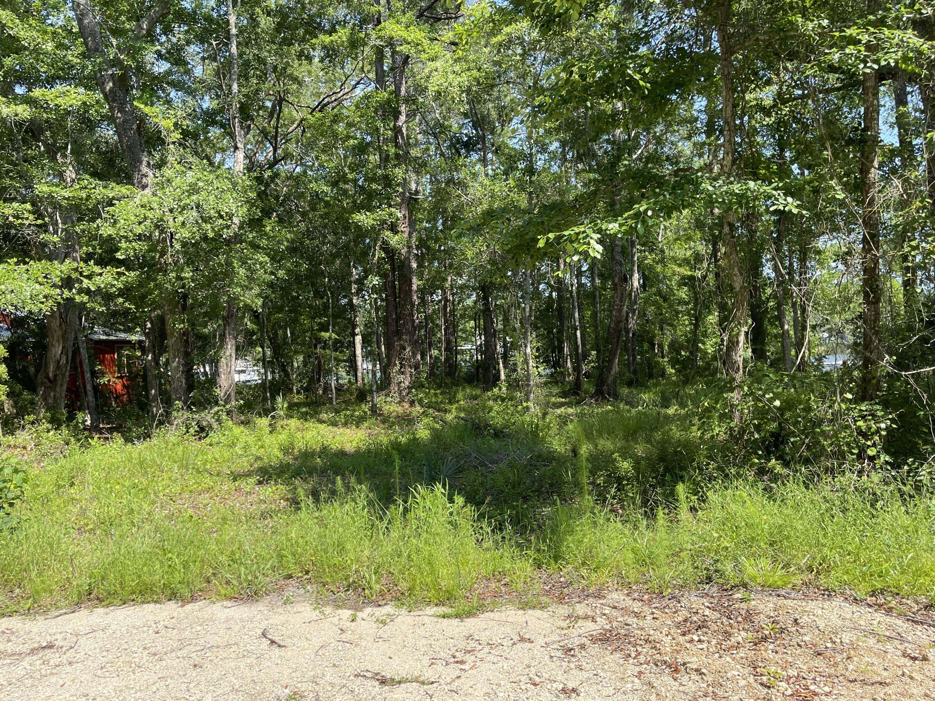 Freeport, FL 32439,Lot 21 E BAYOU FOREST Drive