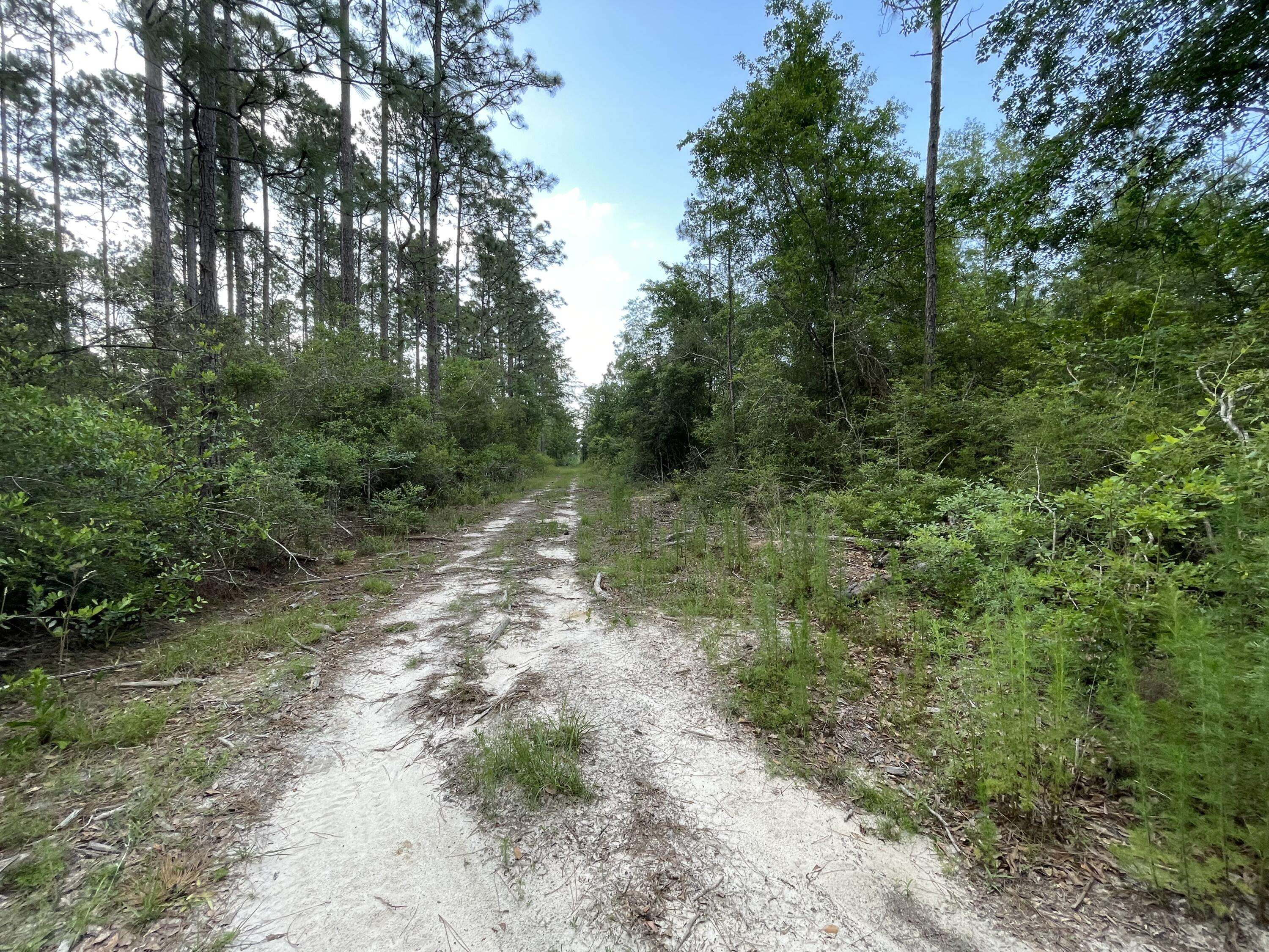 Laurel Hill, FL 32567,Parcel A Bill Lundy Road