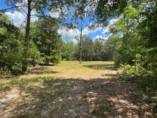 Defuniak Springs, FL 32435,9.5 AC E Co Highway 280