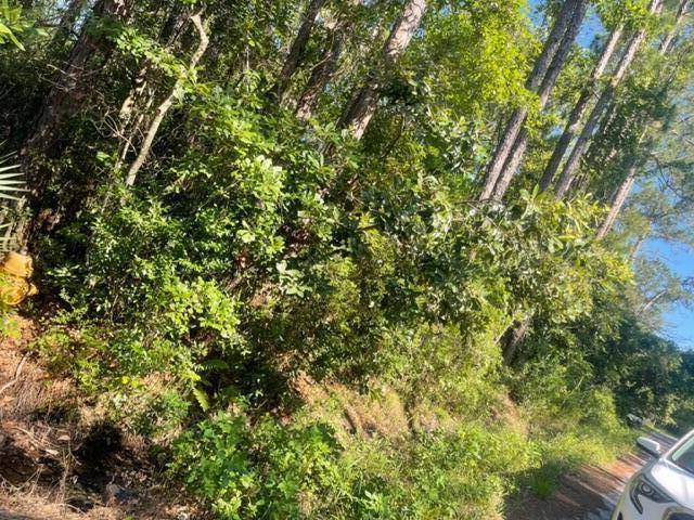 Santa Rosa Beach, FL 32459,XXX Fourth Street  #Lot #13