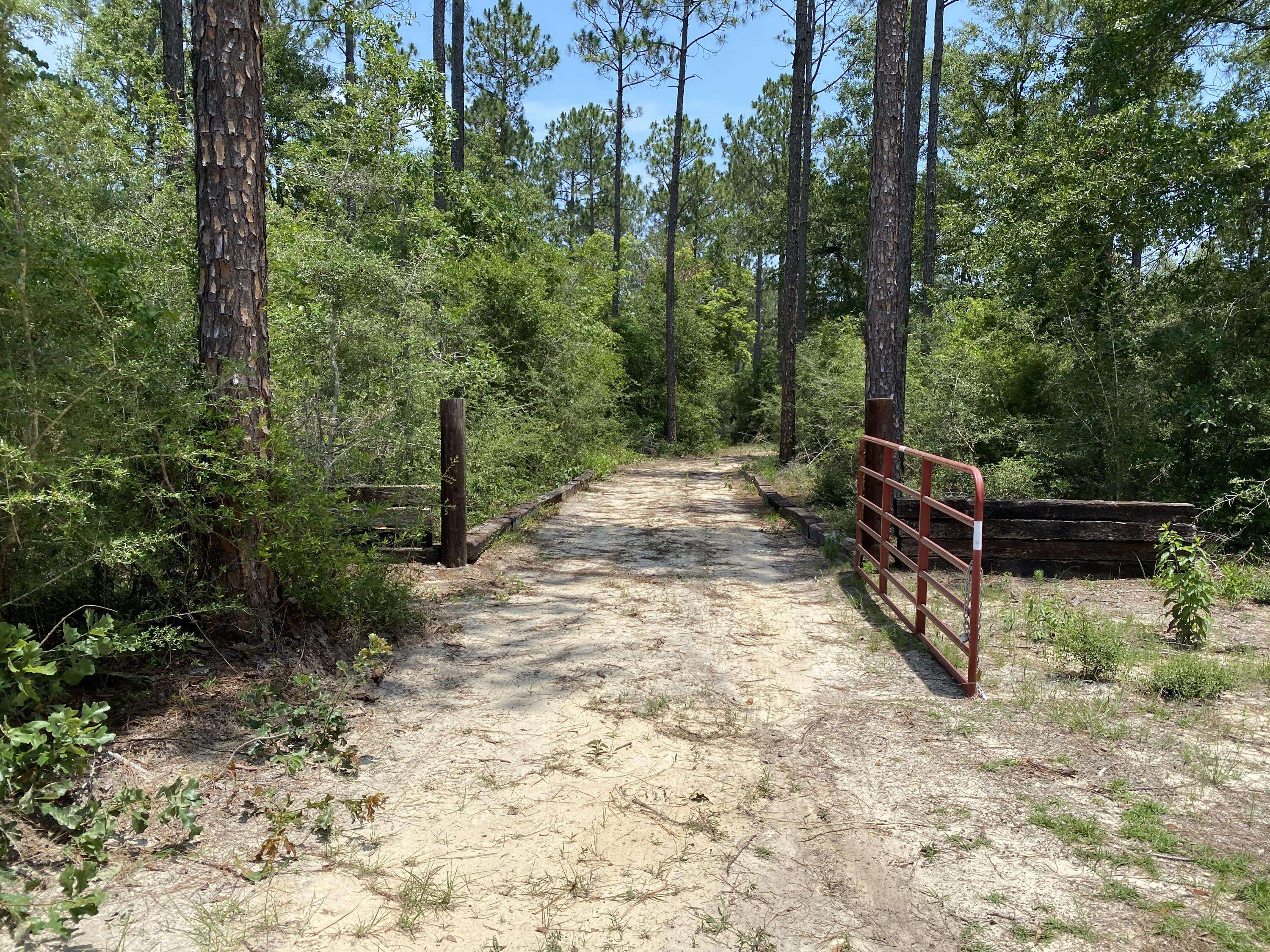 Laurel Hill, FL 32567,12.5 Ac XX E Chapel Road