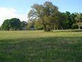 Holt, FL 32564,4929 Gilmore Road  #lot 10