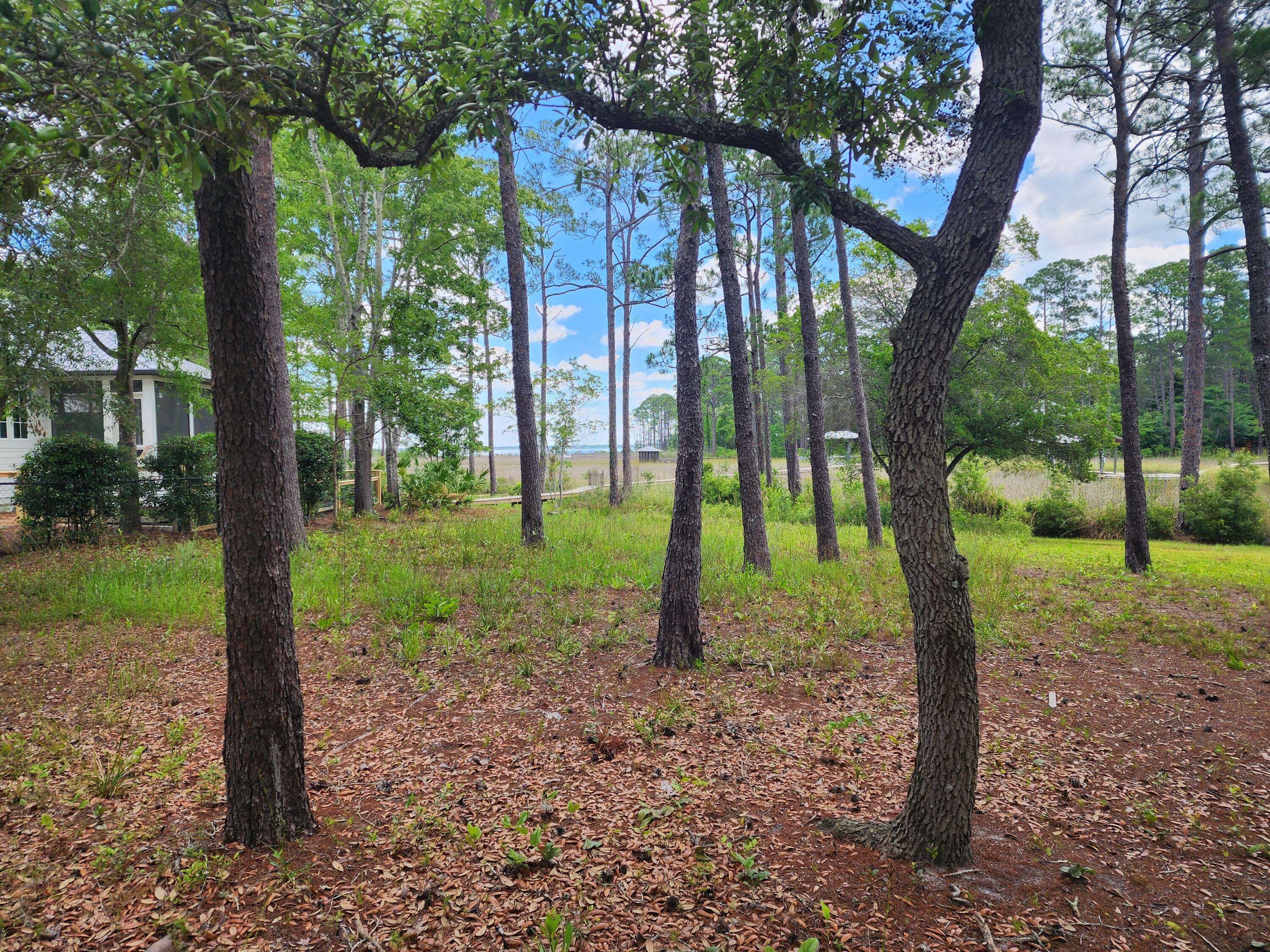 Santa Rosa Beach, FL 32459,Lot 2 Indiangrass Lane