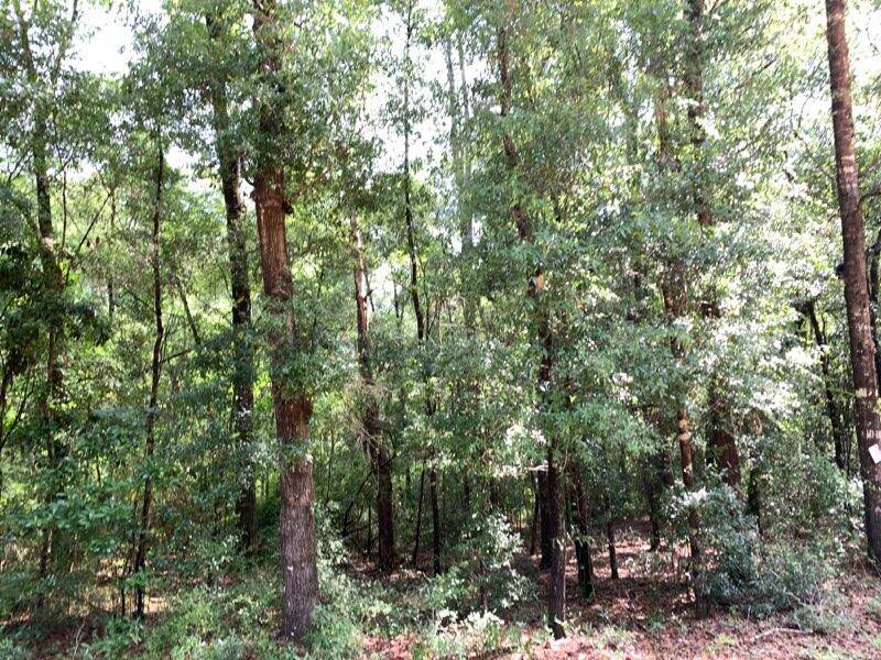 Ponce De Leon, FL 32455,Lot 7 Blue Creek Road