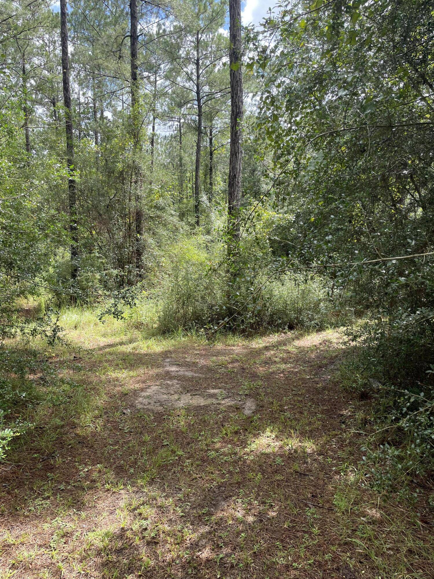 Milton, FL 32570,12185 Charlie Foster Road