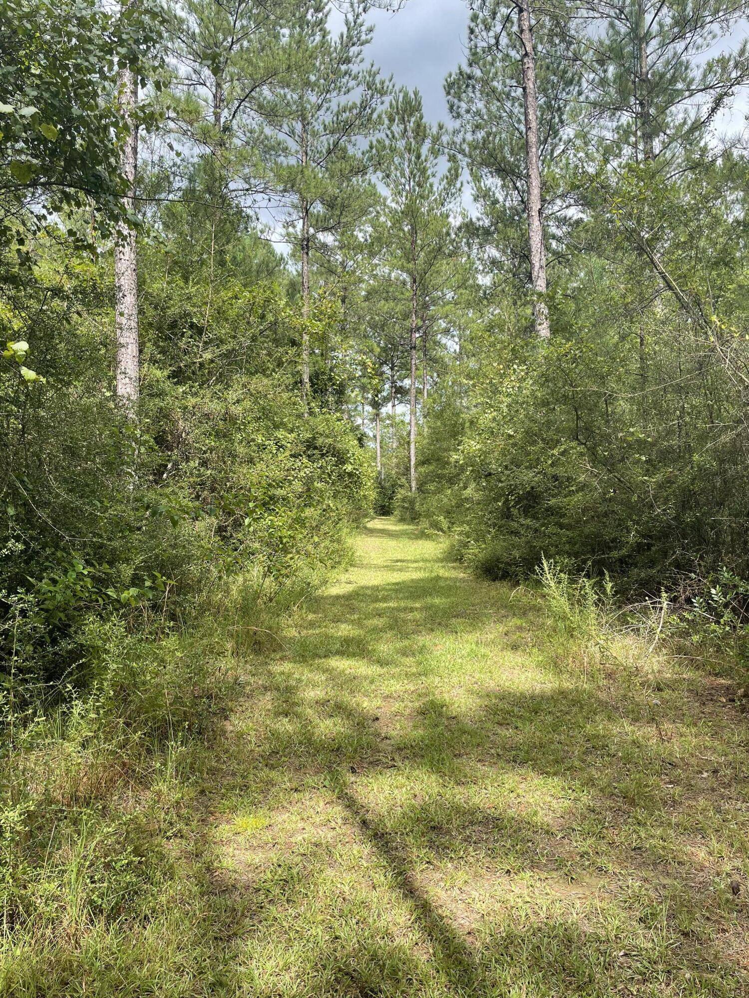 Milton, FL 32570,12185 Charlie Foster Road