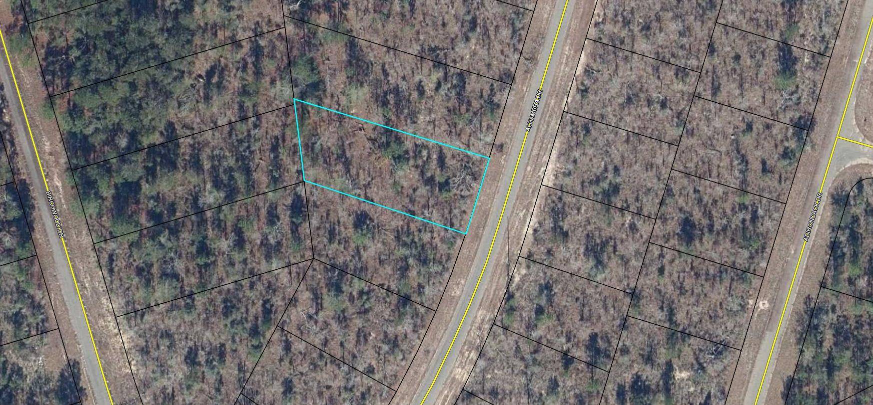 Chipley, FL 32428,xxx Lot 22 Alhambra Drive