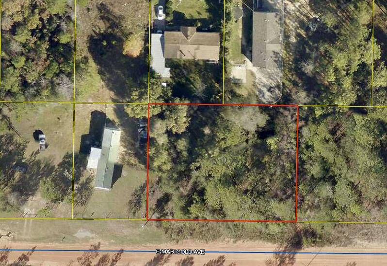 Defuniak Springs, FL 32433,TBD Marigold Avenue  #Lots 30 & 31