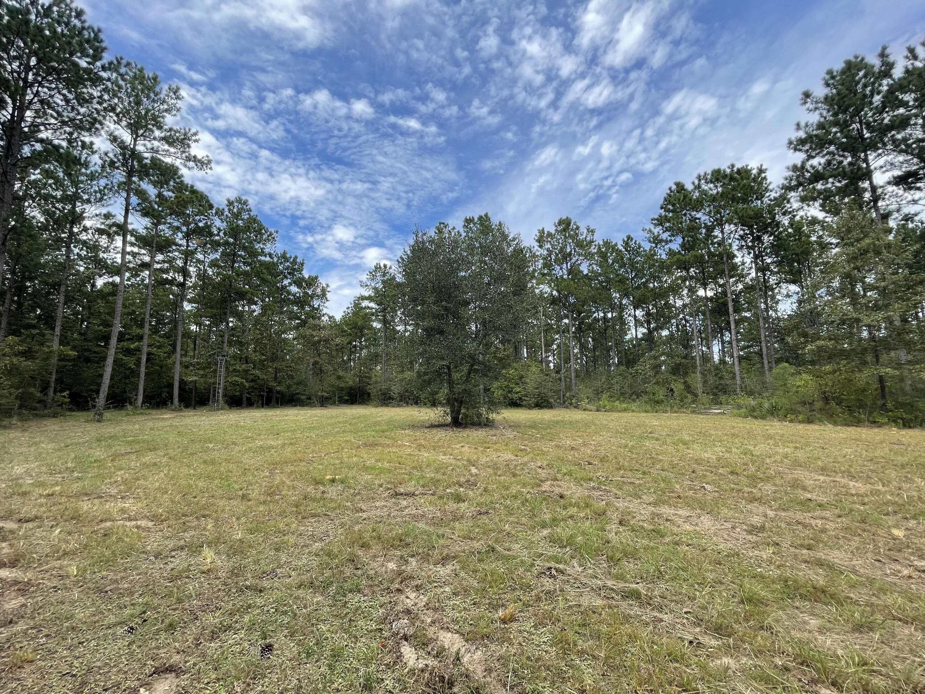 Laurel Hill, FL 32567,10.4 Acres Walton Plantation B-5