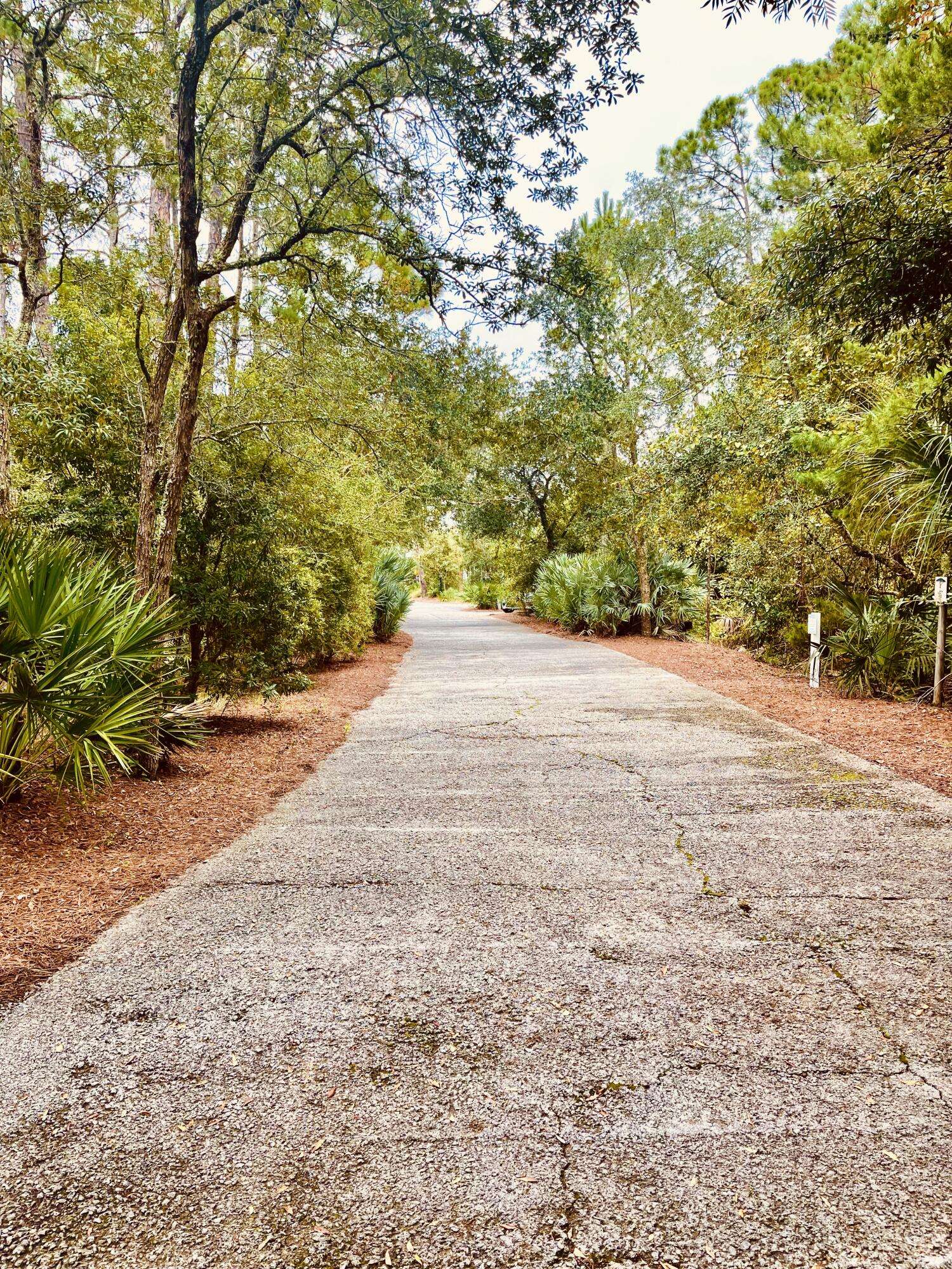 Santa Rosa Beach, FL 32459,Lot 44 Bosk Lane