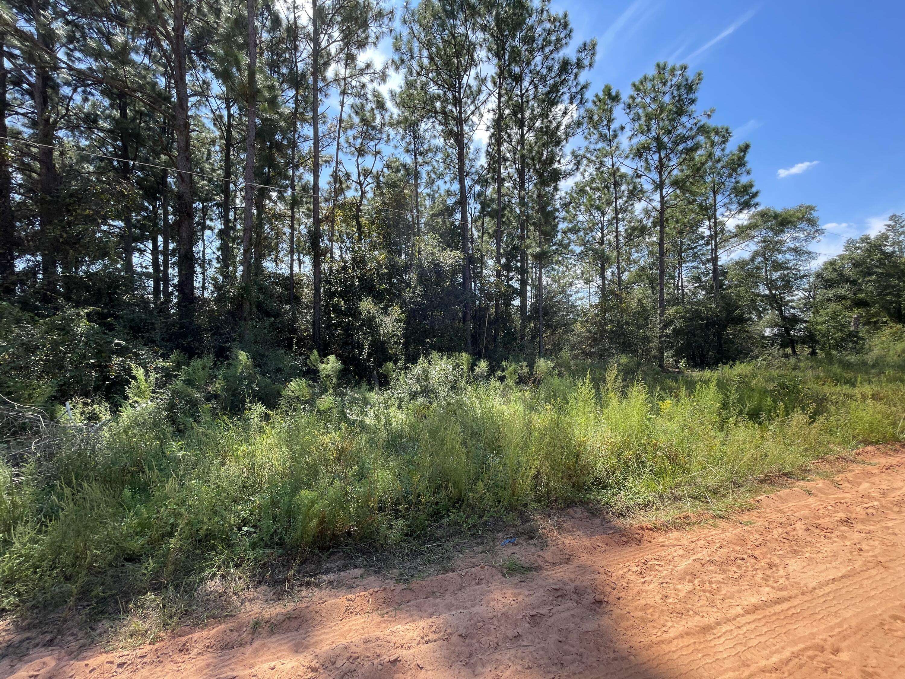 Defuniak Springs, FL 32433,Lot 6 W Poinsetta Avenue