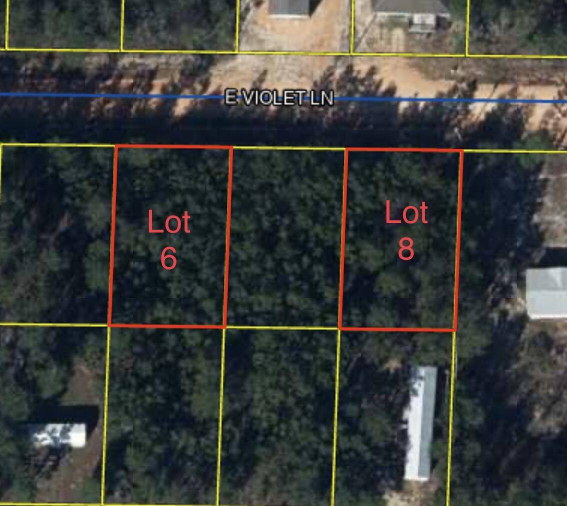 Defuniak Springs, FL 32433,TBD E Violet Lane