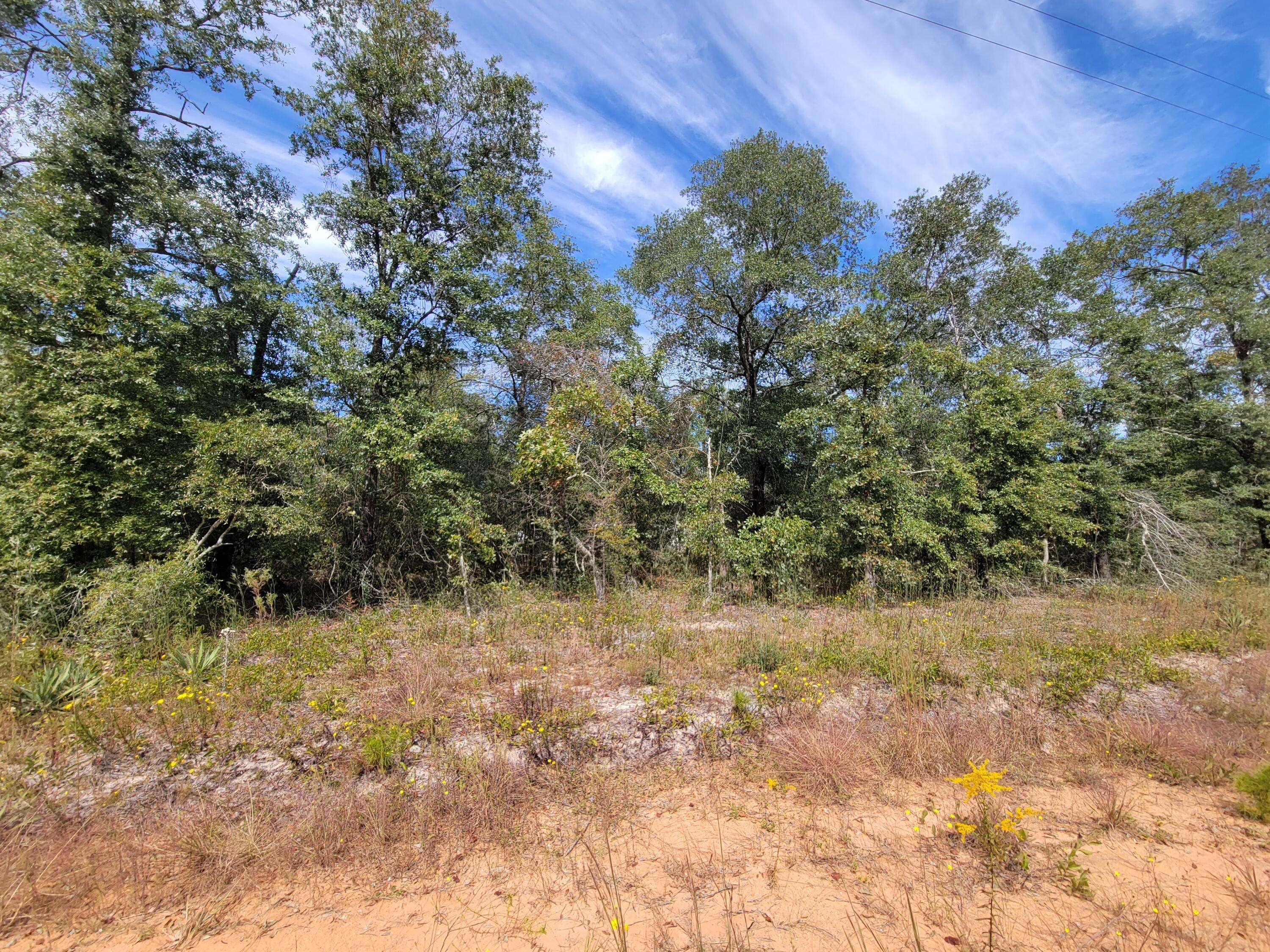 Defuniak Springs, FL 32433,Lot 22 E Larkspur Avenue