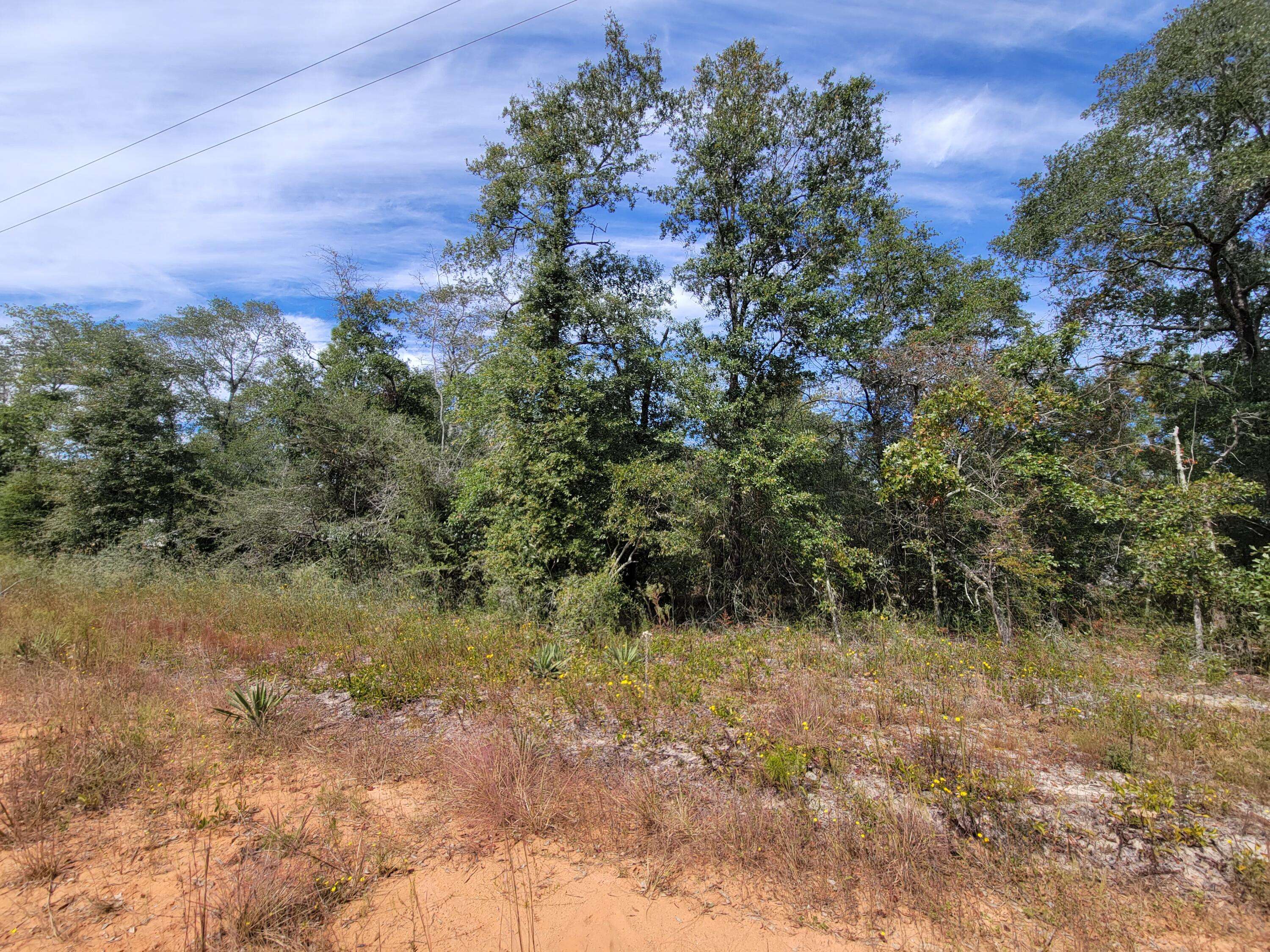 Defuniak Springs, FL 32433,Lot 22 E Larkspur Avenue