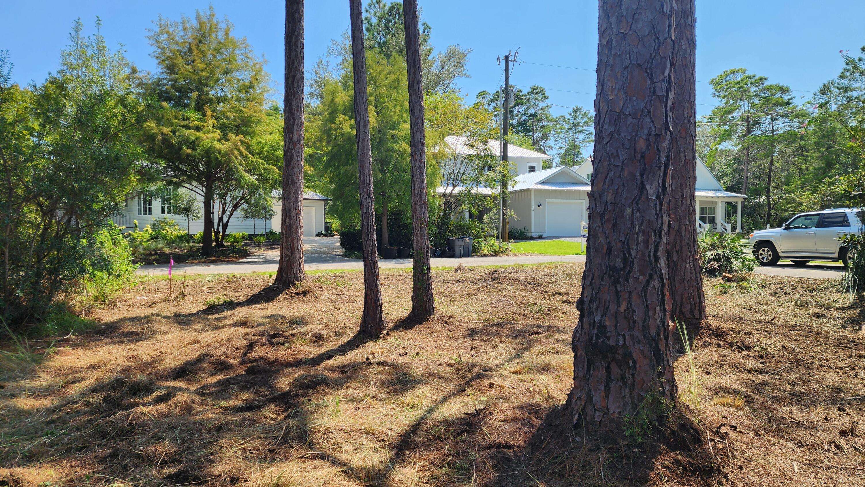 Santa Rosa Beach, FL 32459,Lot 19 Greenbriar Lane