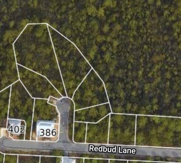 Inlet Beach, FL 32461,Lot 45 Sweet Gum Loop