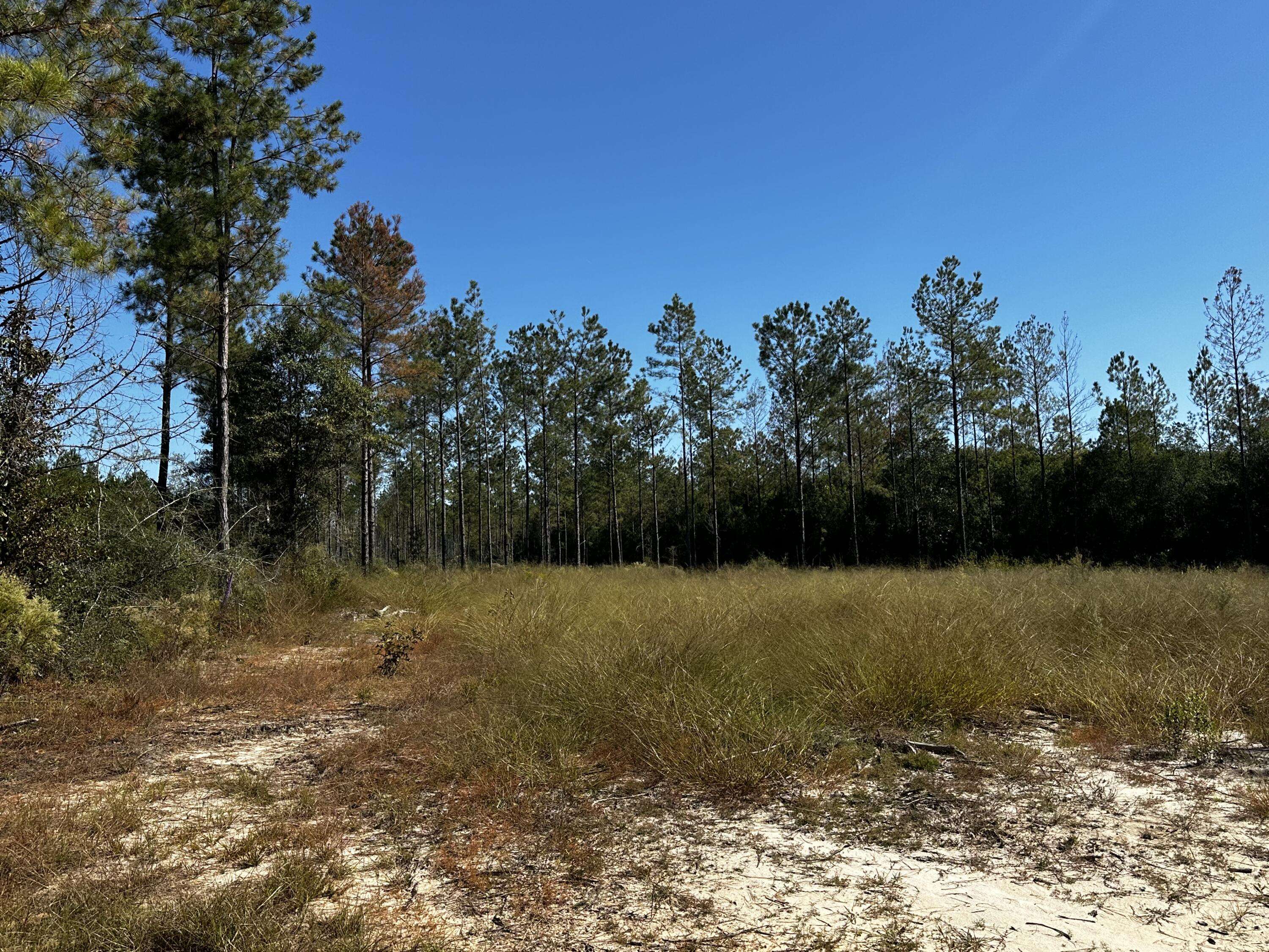 Milton, FL 32570,Parcel Z3 Henderson Smith Road