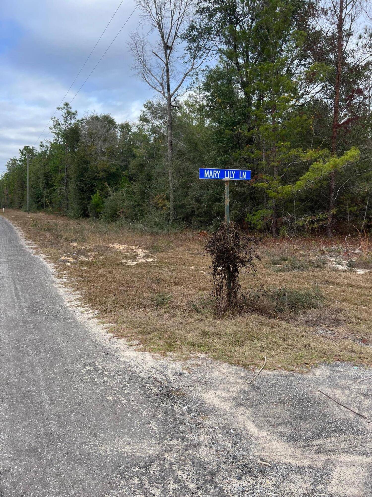 Defuniak Springs, FL 32433,0000 Watson Road