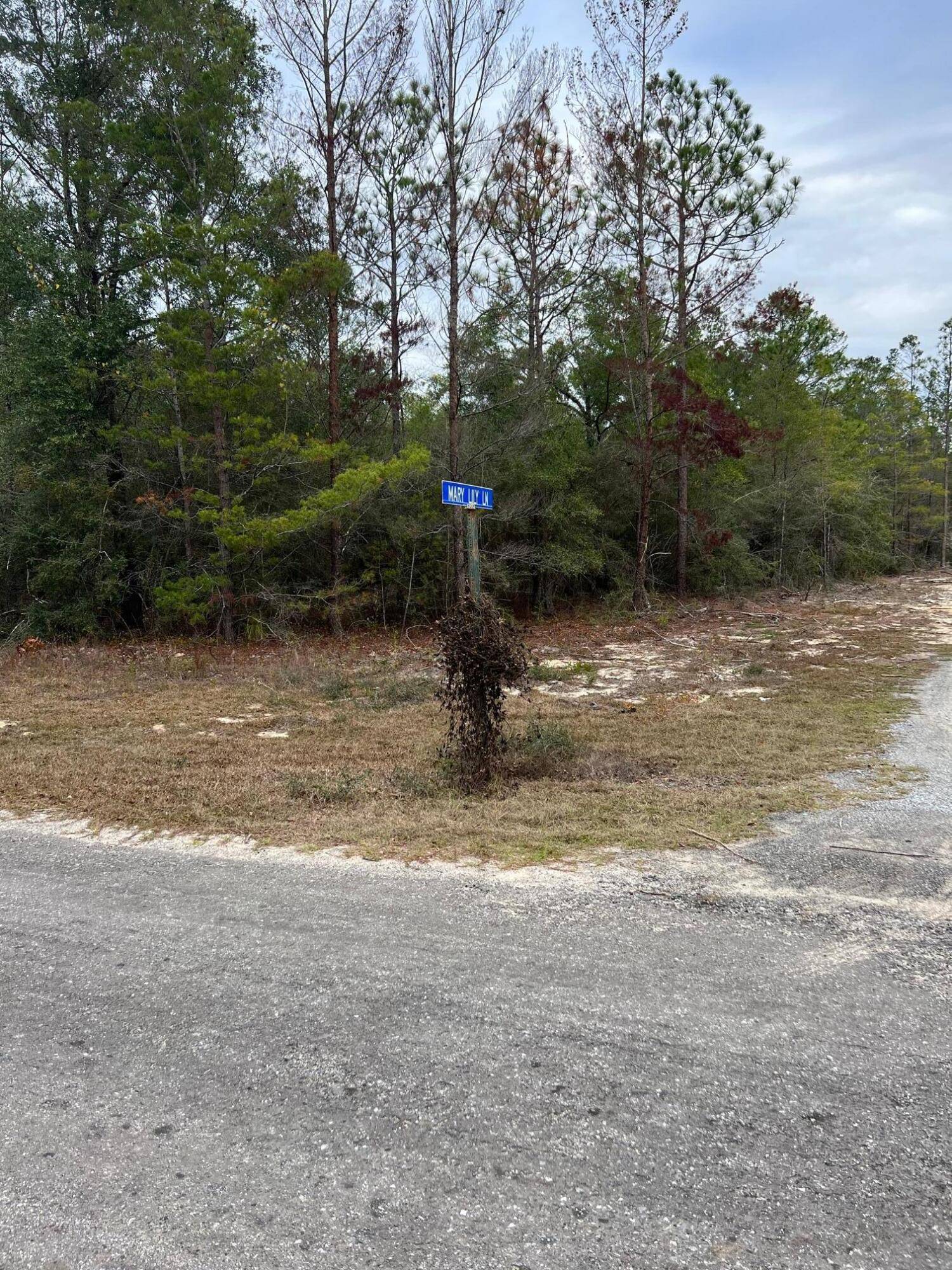 Defuniak Springs, FL 32433,0000 Watson Road