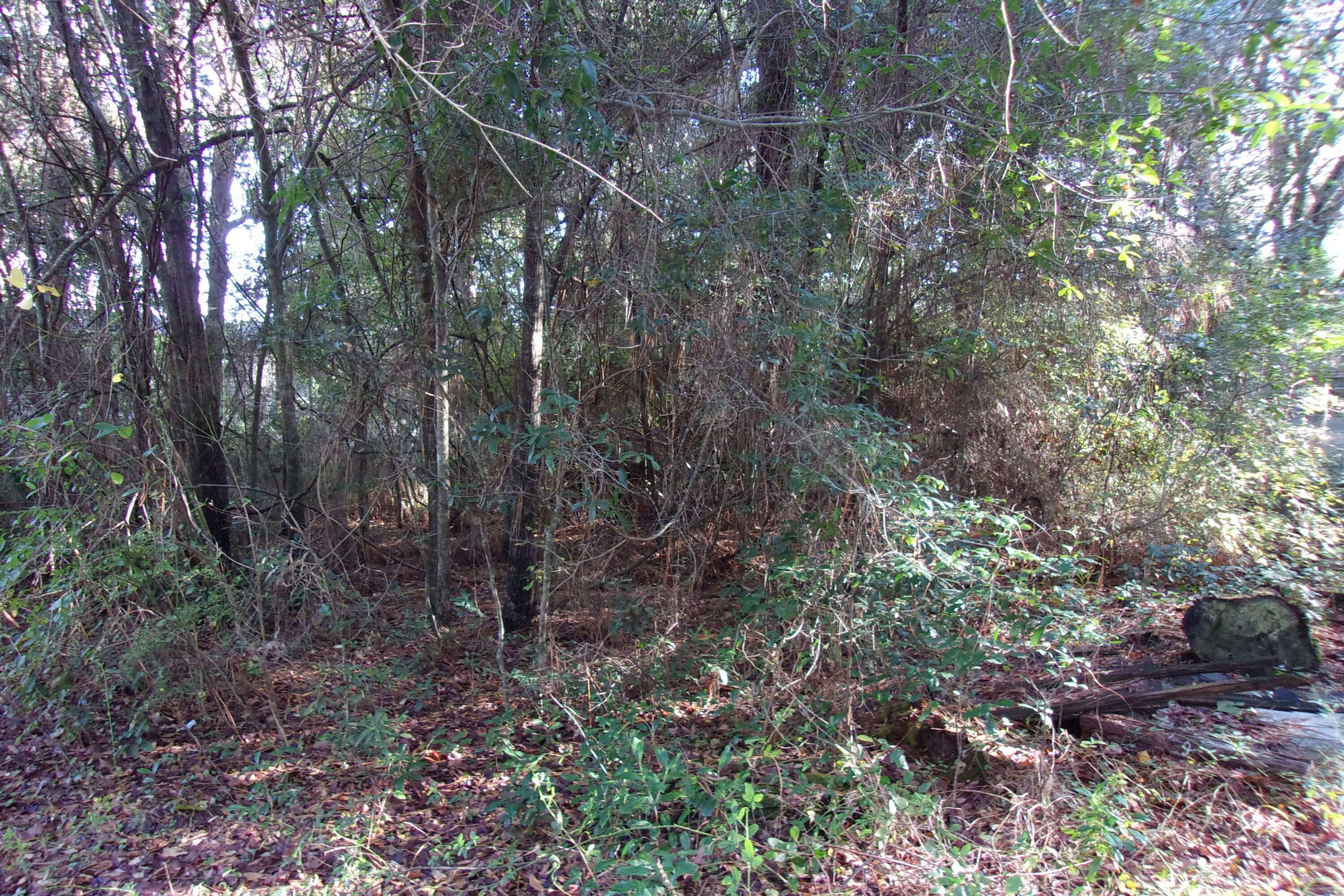 Crestview, FL 32539,Lot 6 E Oaklane Street