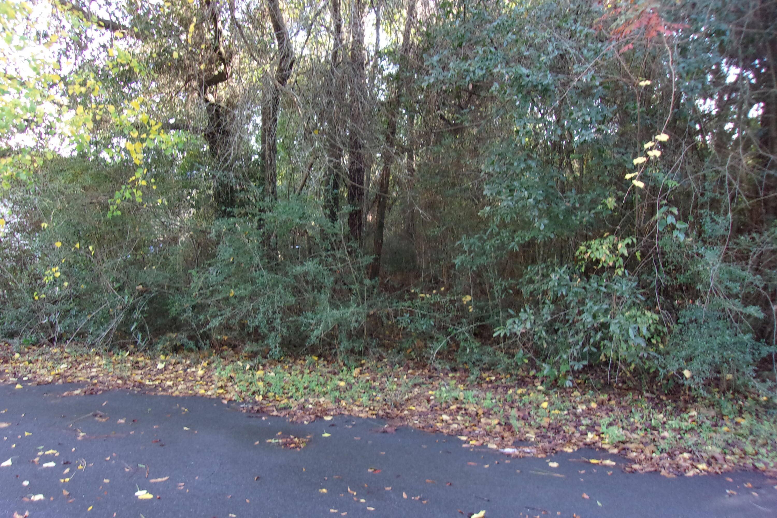 Crestview, FL 32539,Lot 6 E Oaklane Street