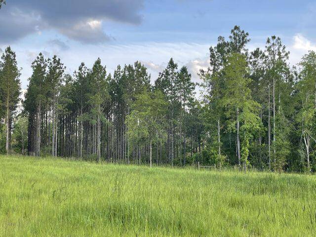 Laurel Hill, FL 32567,Parcel D Bill Lundy Road