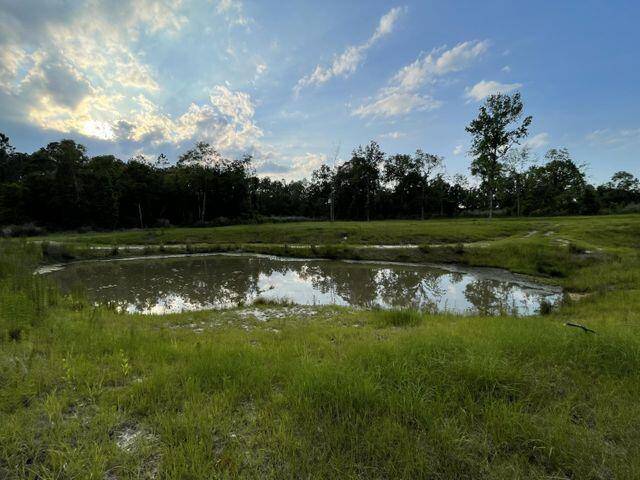 Laurel Hill, FL 32567,Parcel D Bill Lundy Road