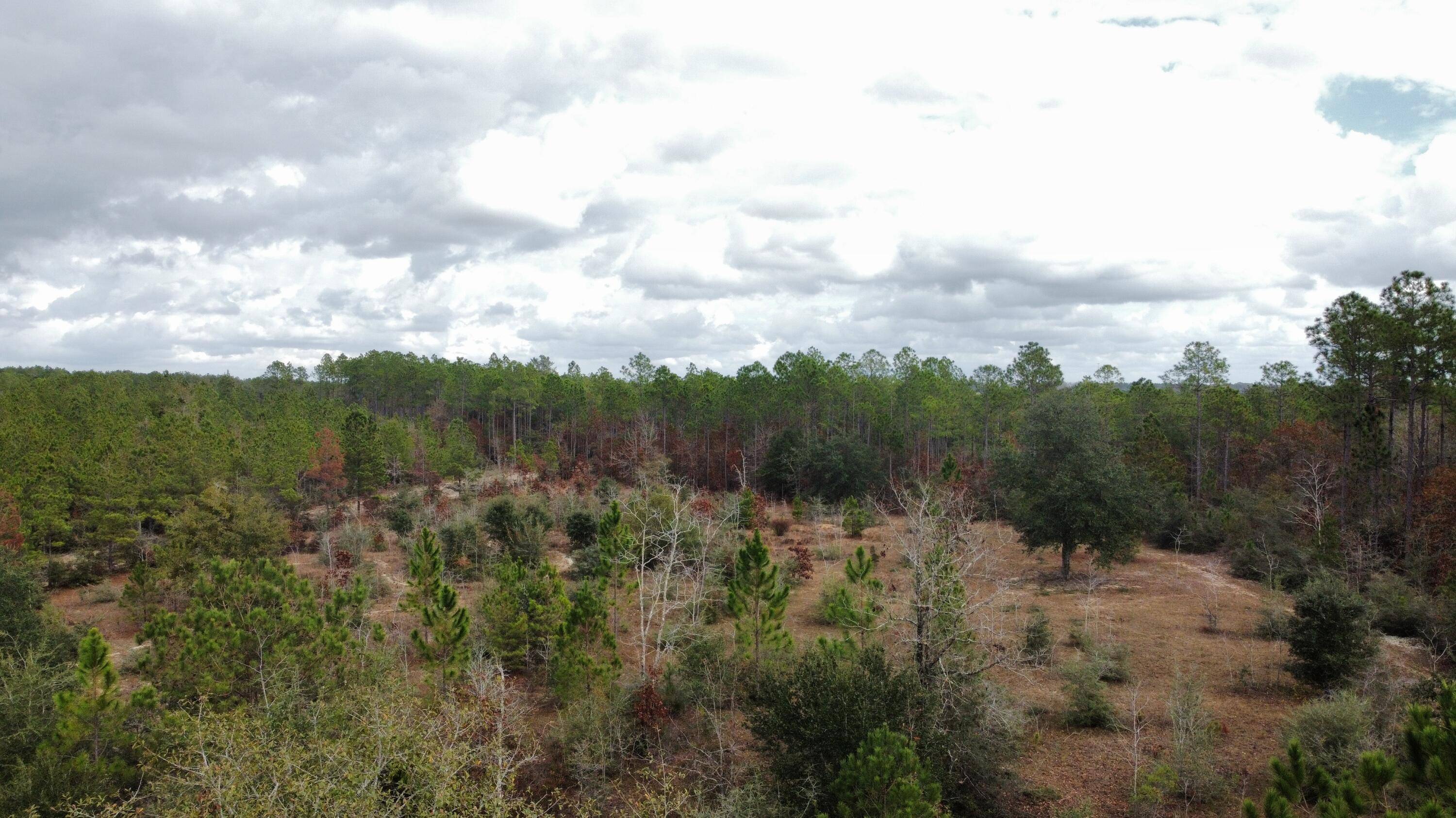 Laurel Hill, FL 32567,Lot A1 N Planters Drive