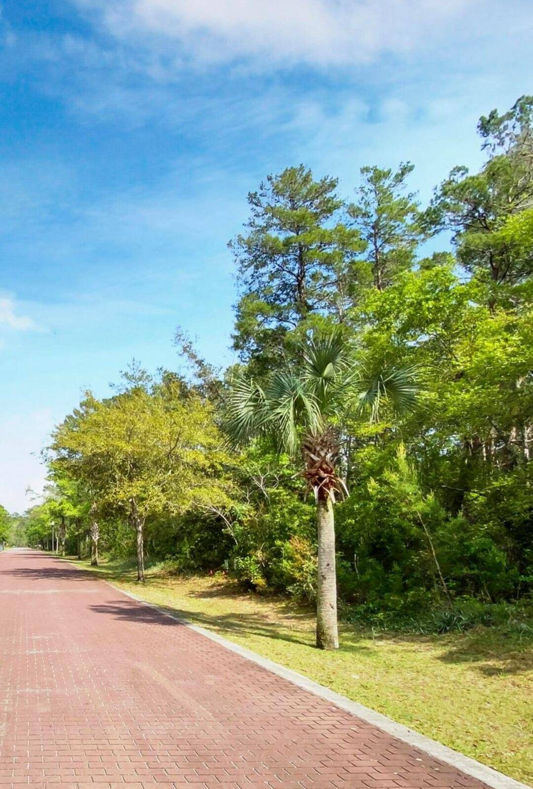 Santa Rosa Beach, FL 32459,Lot 22 Magnolia Beach Way