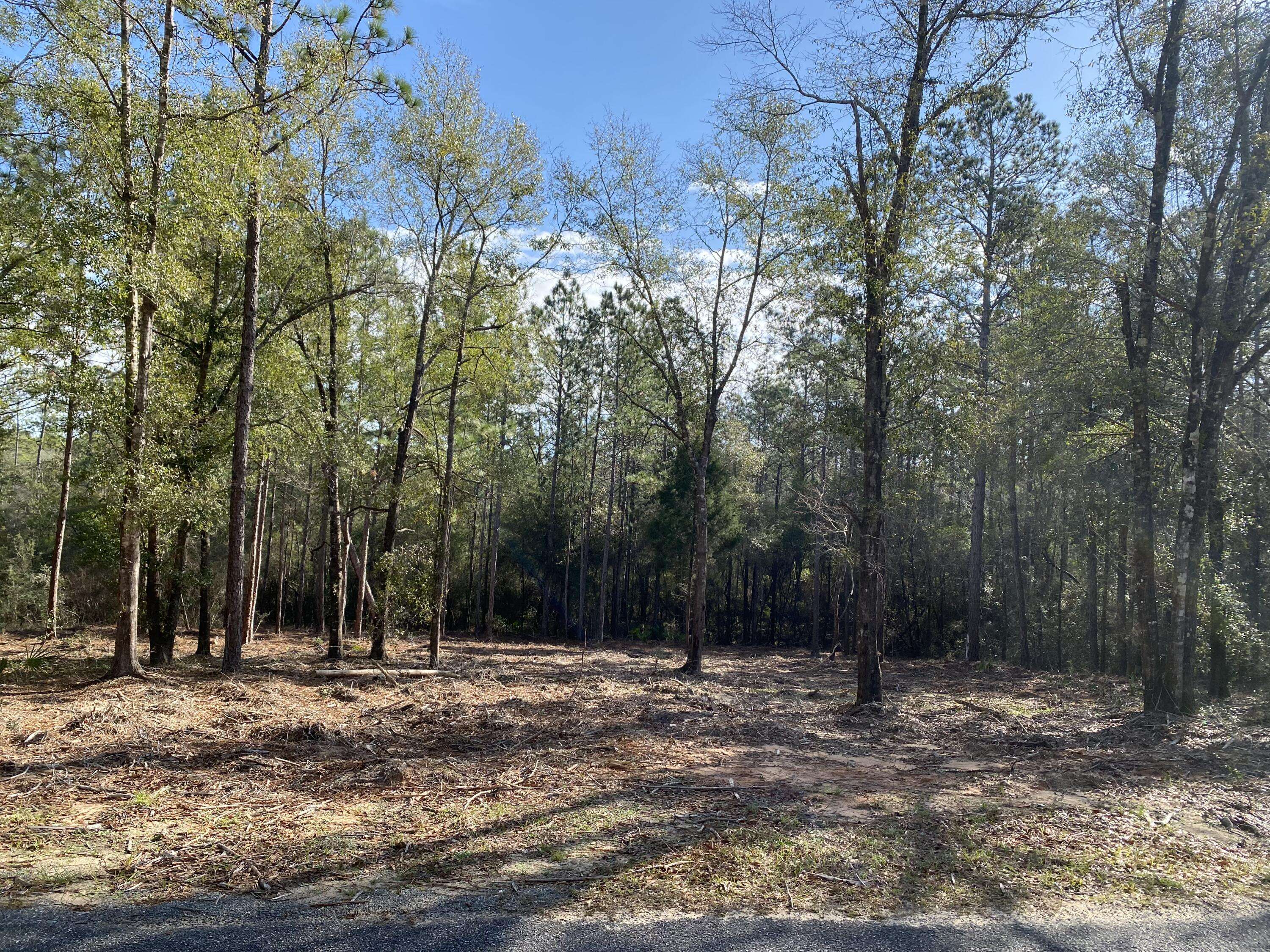 Holt, FL 32564,tbd Gilmore Road