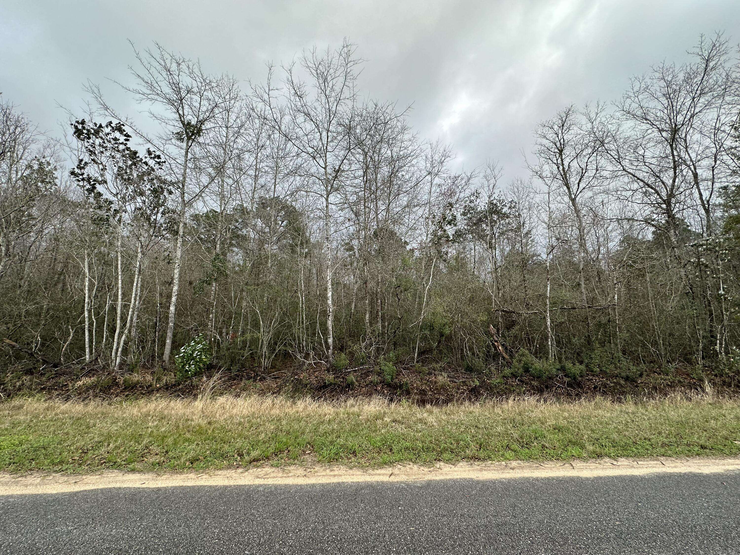 Milton, FL 32583,TBD Black Oak Road