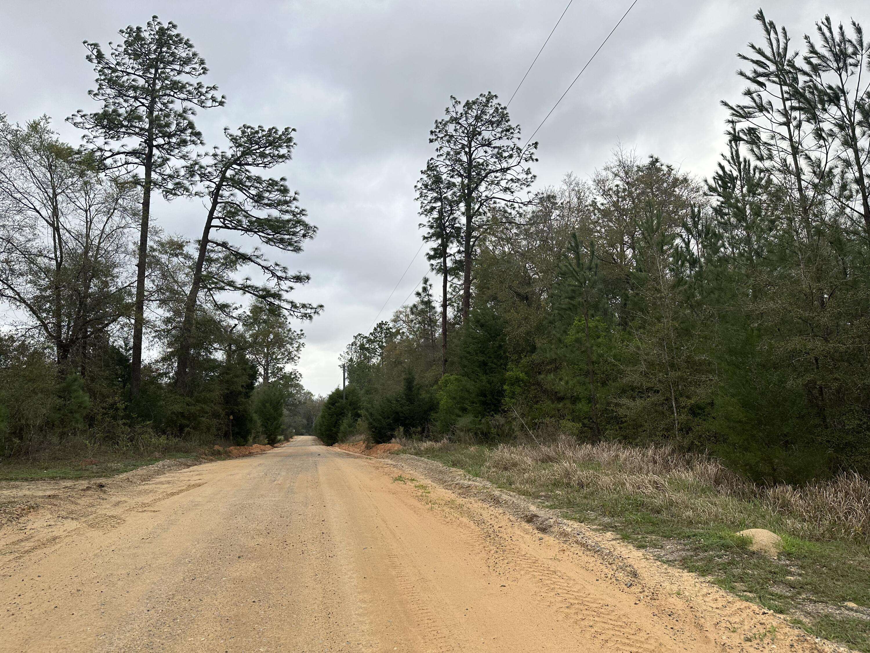 Caryville, FL 32427,Tract#6418 SW Mattox Springs Road