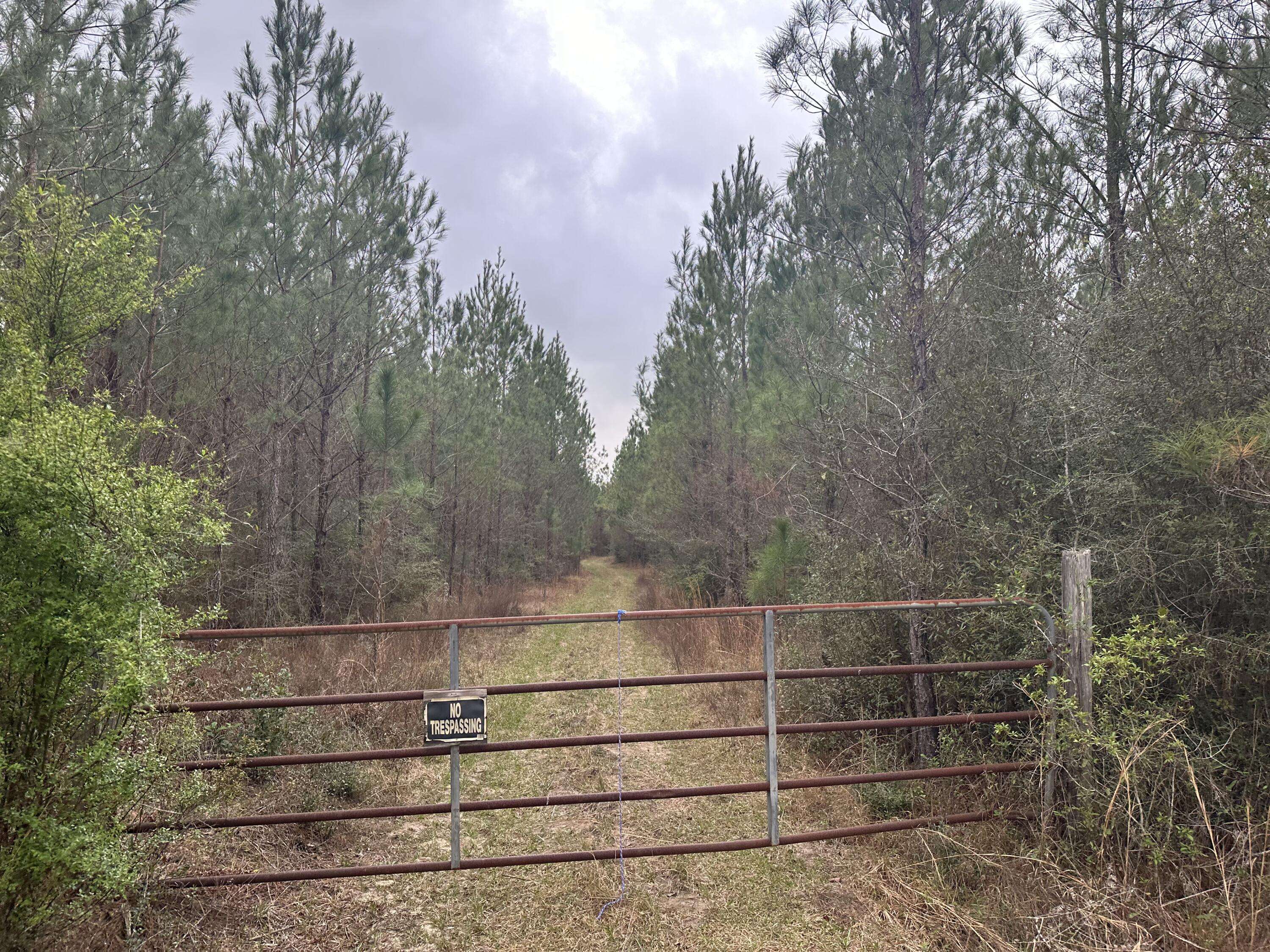 Vernon, FL 32462,Tract#6431 W Parrish Still Road