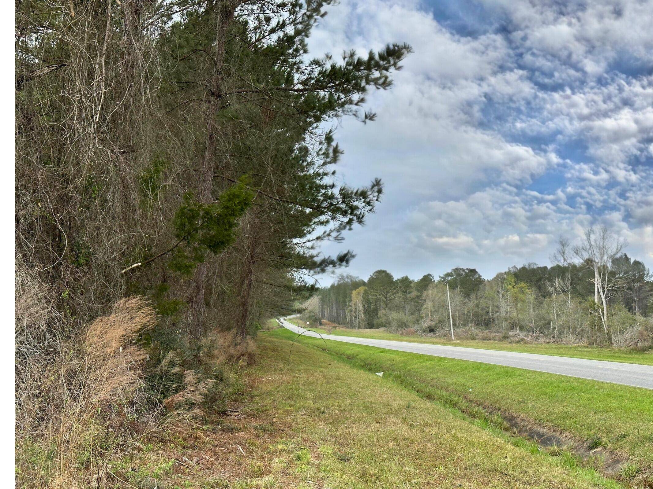 Defuniak Springs, FL 32433,Tract#6201 S County Hwy 181  #1