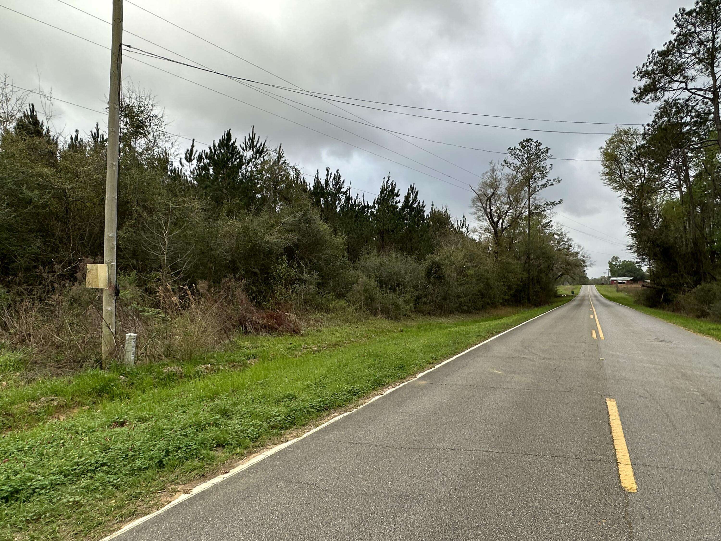 Vernon, FL 32462,Tract#6426 W Douglas Ferry Road