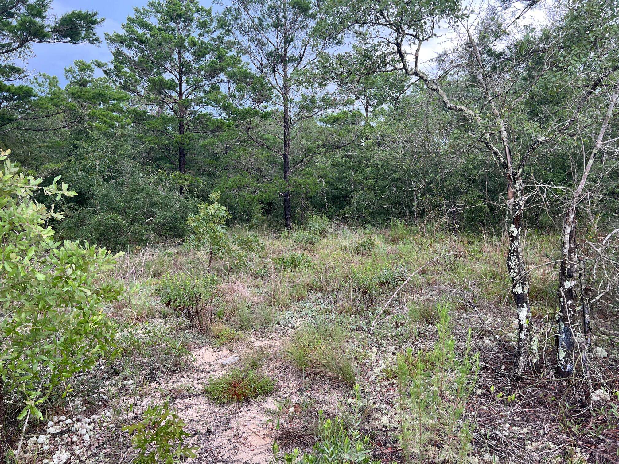 Defuniak Springs, FL 32433,Lot 36 W Juniper Avenue