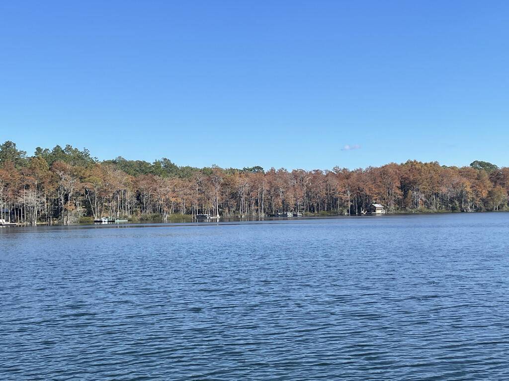 Ponce De Leon, FL 32455,LOT 41 Blue Pond Lane