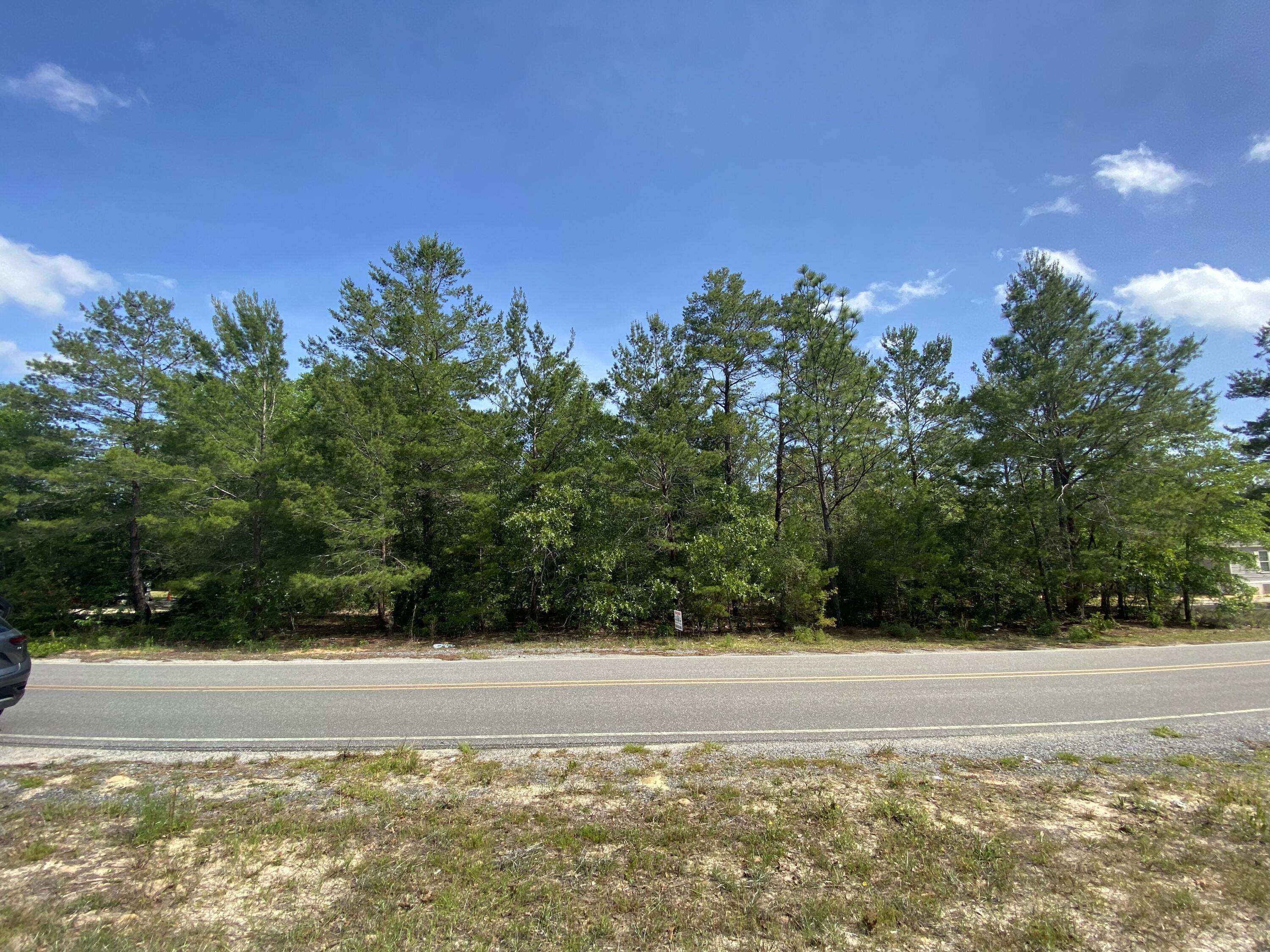 Defuniak Springs, FL 32433,000 Tulip Avenue